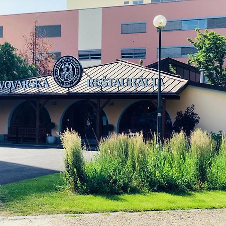 Ferienwohnung Dobrobeat Pressburg Exterior foto